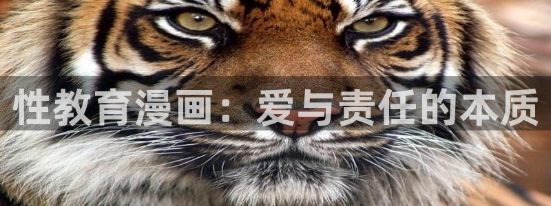 香蕉漫画网站免费看：性教育漫画：爱与责任的本质
