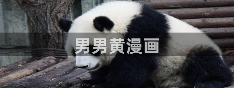 香蕉漫画全集：男男黄漫画
