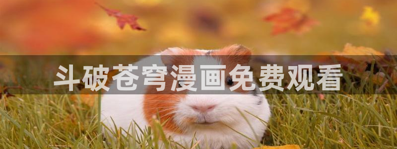 香蕉文化免费读漫画的