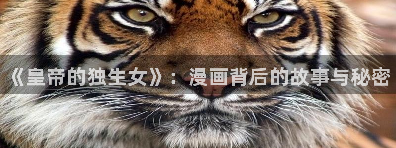香蕉文化漫画书官方入口