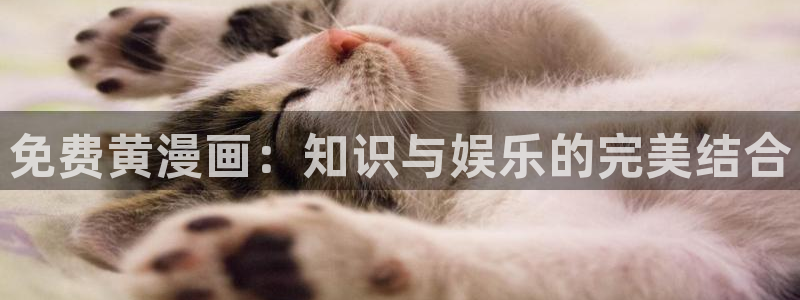 香蕉文化漫画破解版：免费黄漫画：知识与娱乐的完美结合