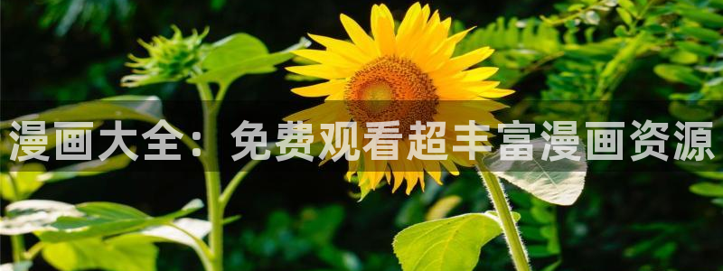 香蕉漫画韩漫网站：漫画大全：免费观看超丰富漫画资源